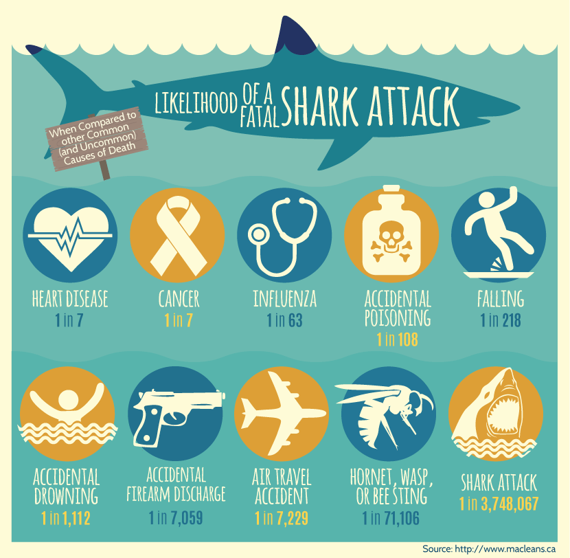 Learn How to Handle a Shark Encounter