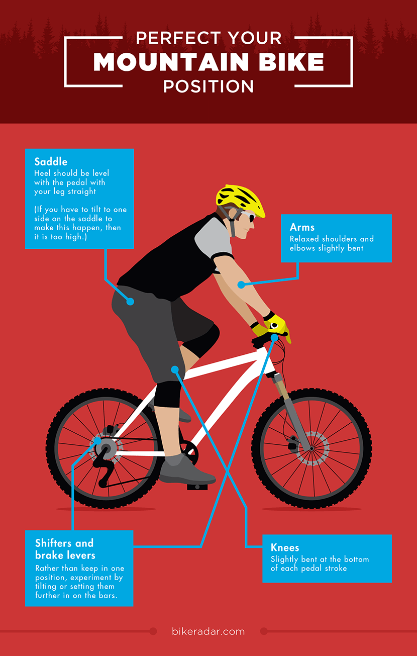 Perfect Your Mountain Bike Position - Mountain Biking Tips